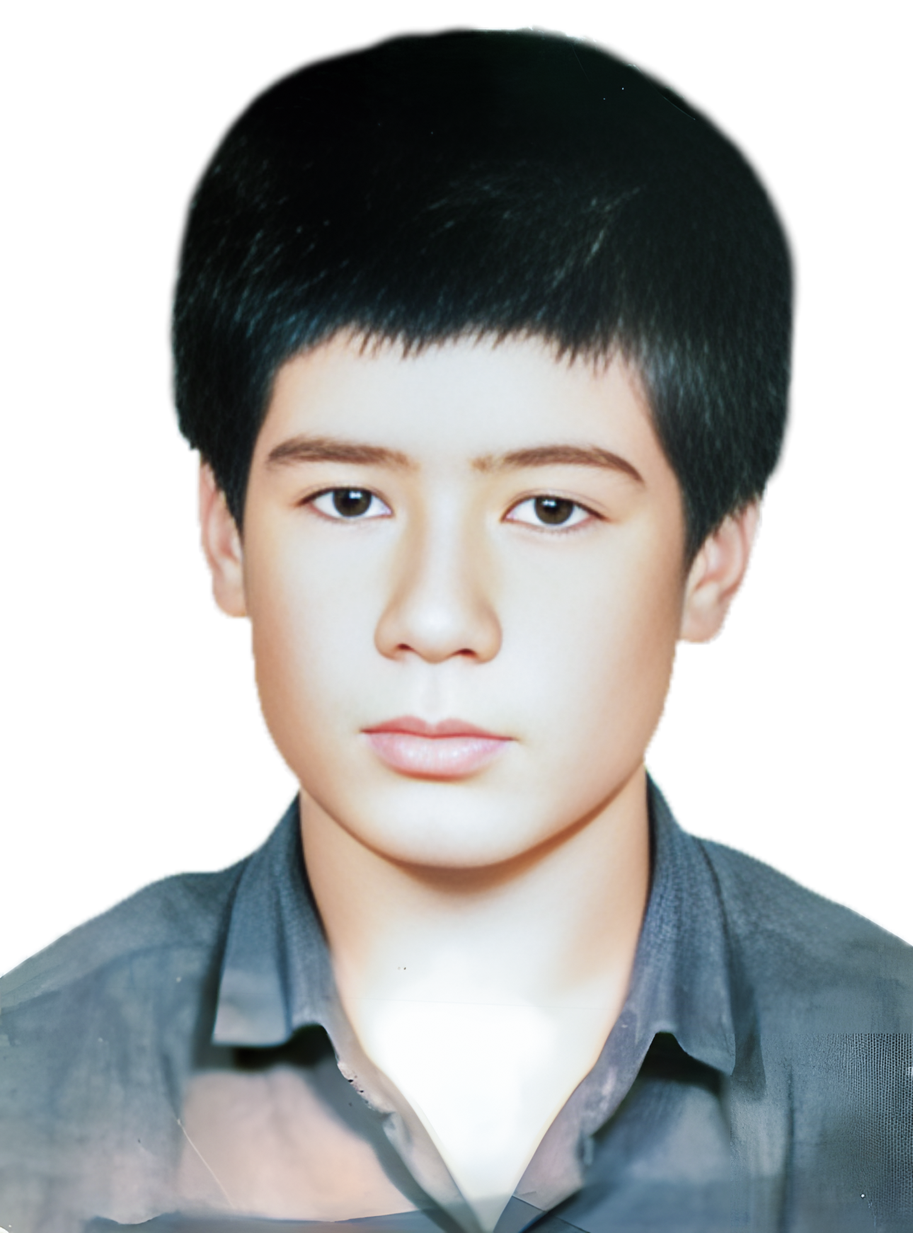 محمود شیبانی