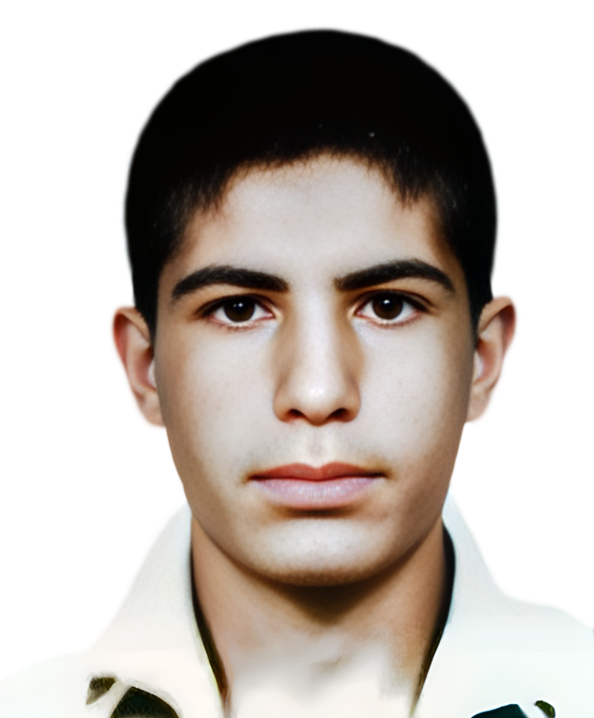 محمود شبانی