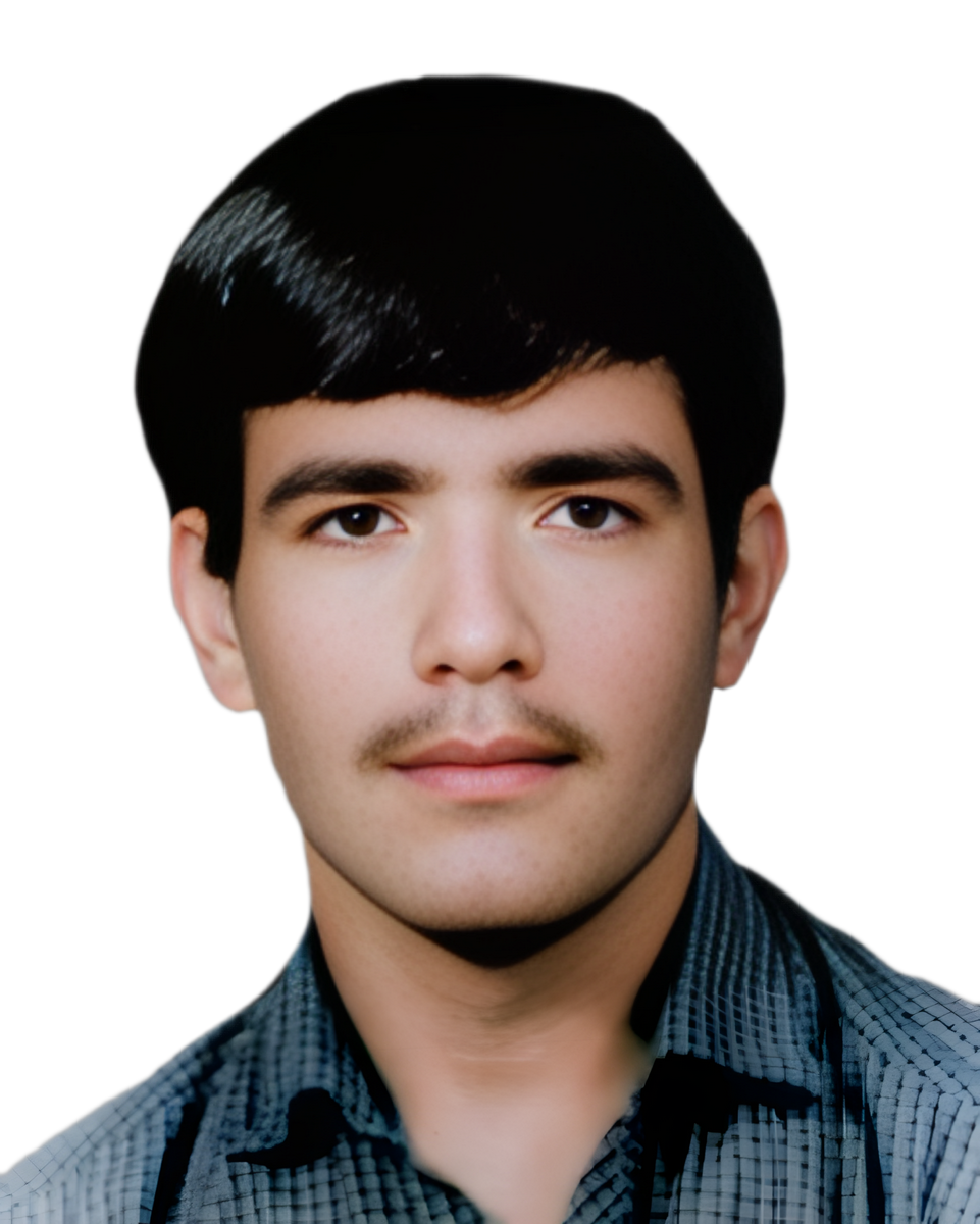 علی رضا شیخ علی