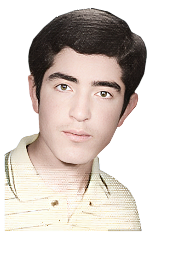 ذوالفقار شیدایی دین دارلو