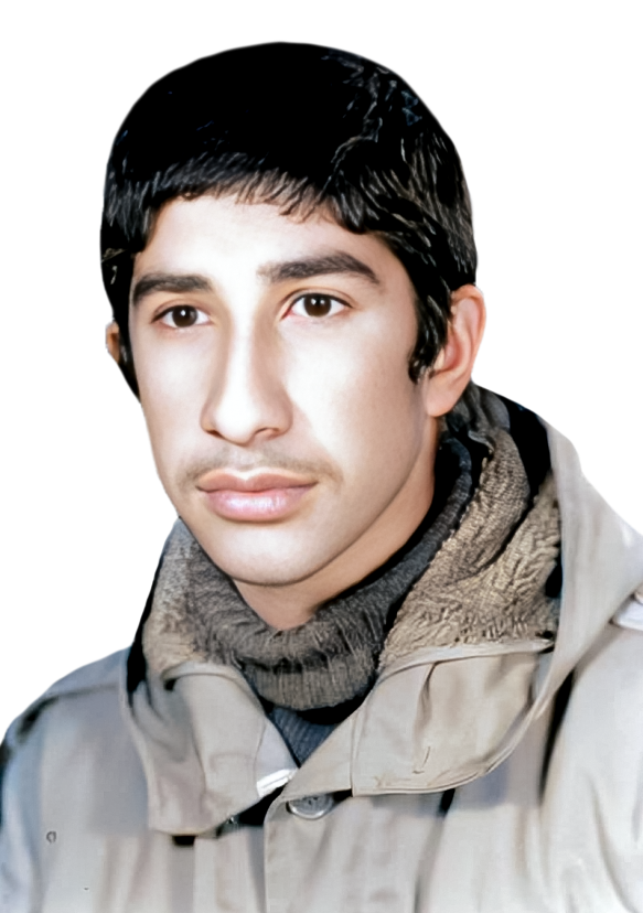 سعید شیعه