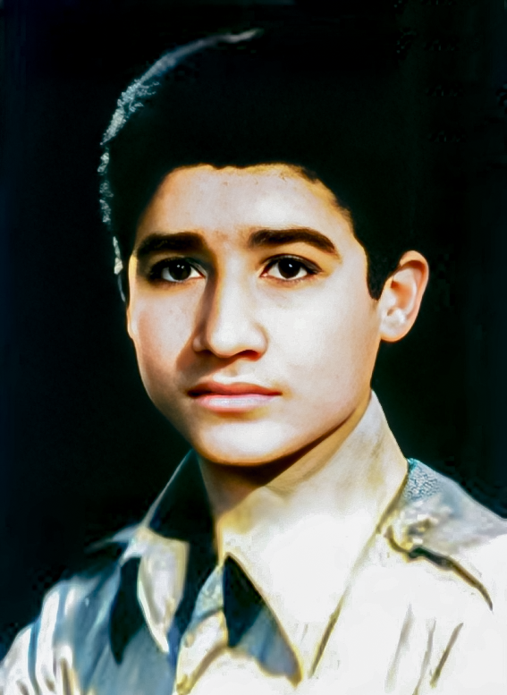 محمدحسین شیعه