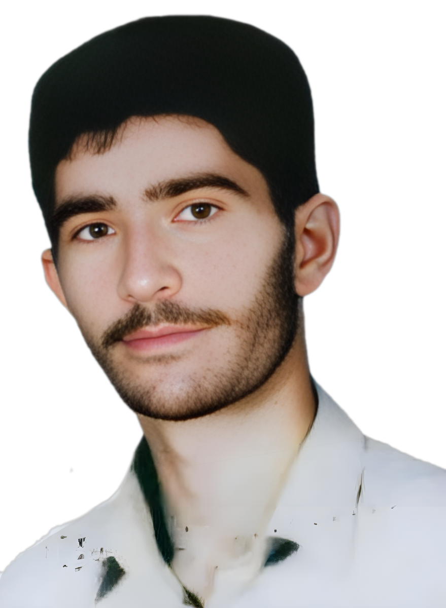 حسن صادقی نقدعلی علیا