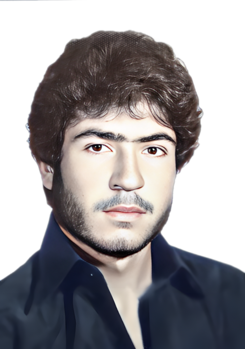 حمزه صادقی مهارلوئی