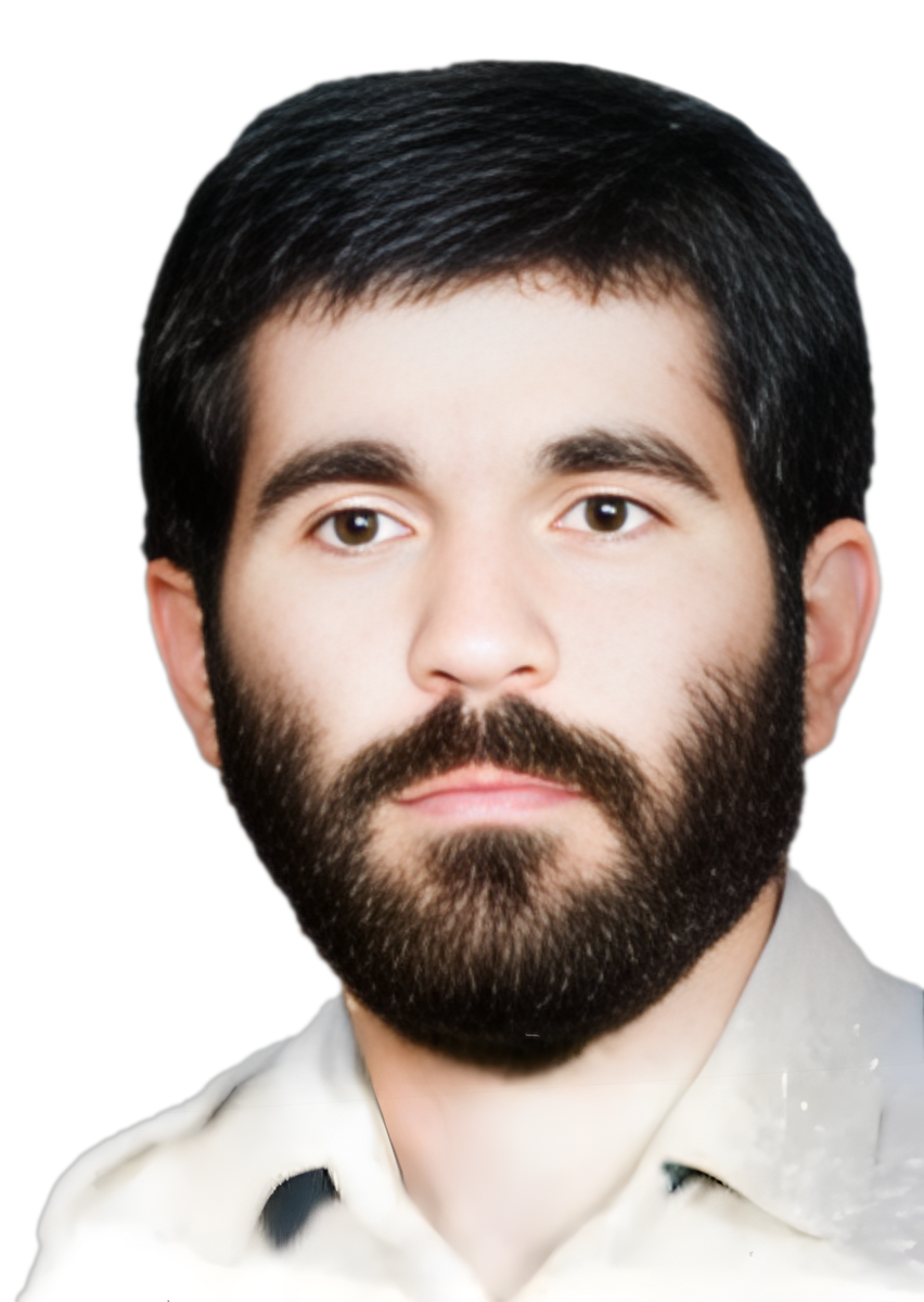 محمدعلی صادقی نقدعلی