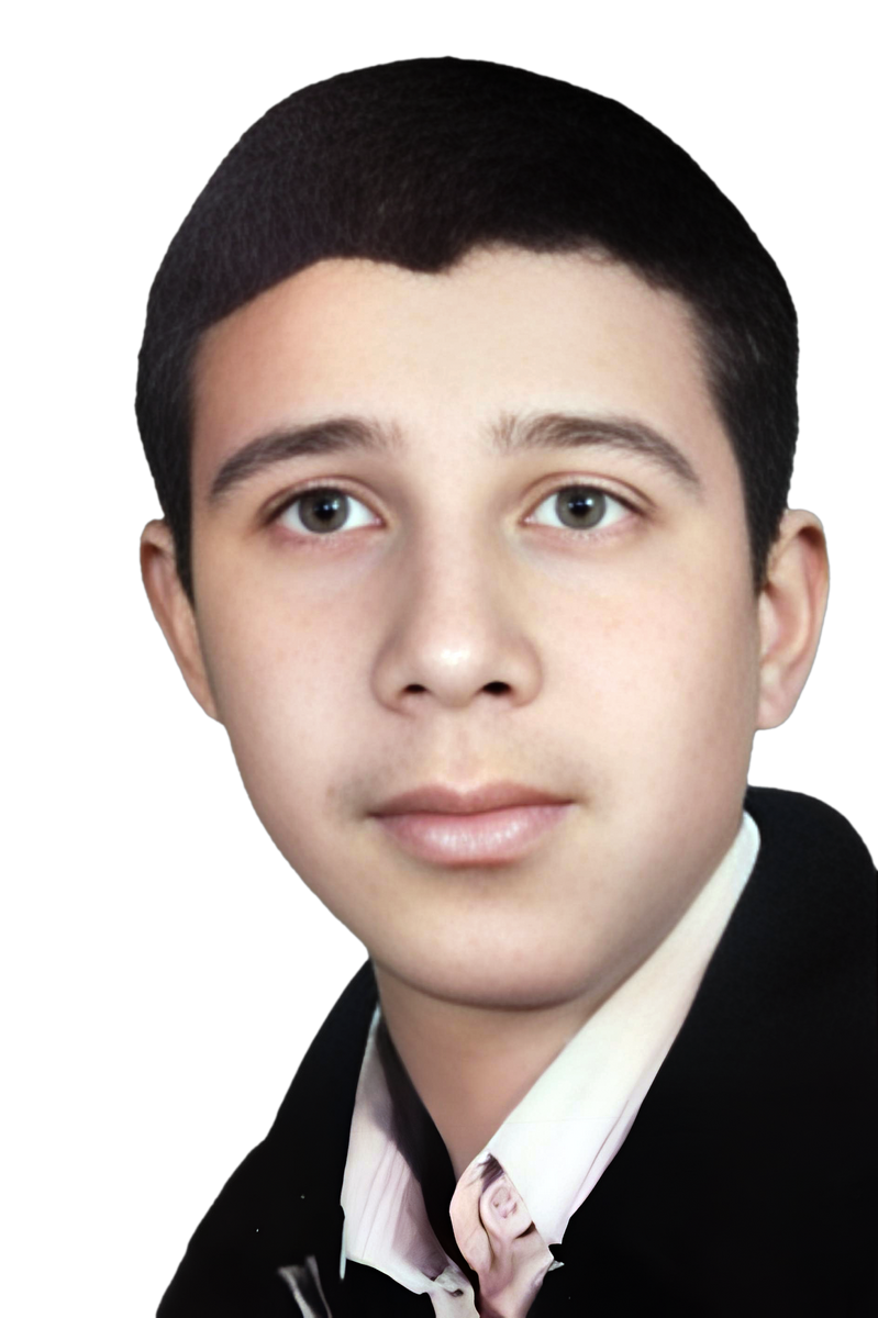 سیدمجتبی صانعیان