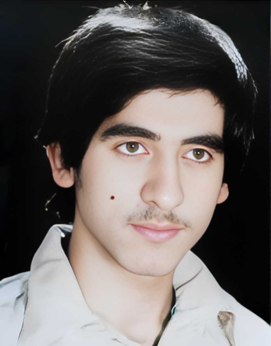 مجتبی صفرزاده هکانی