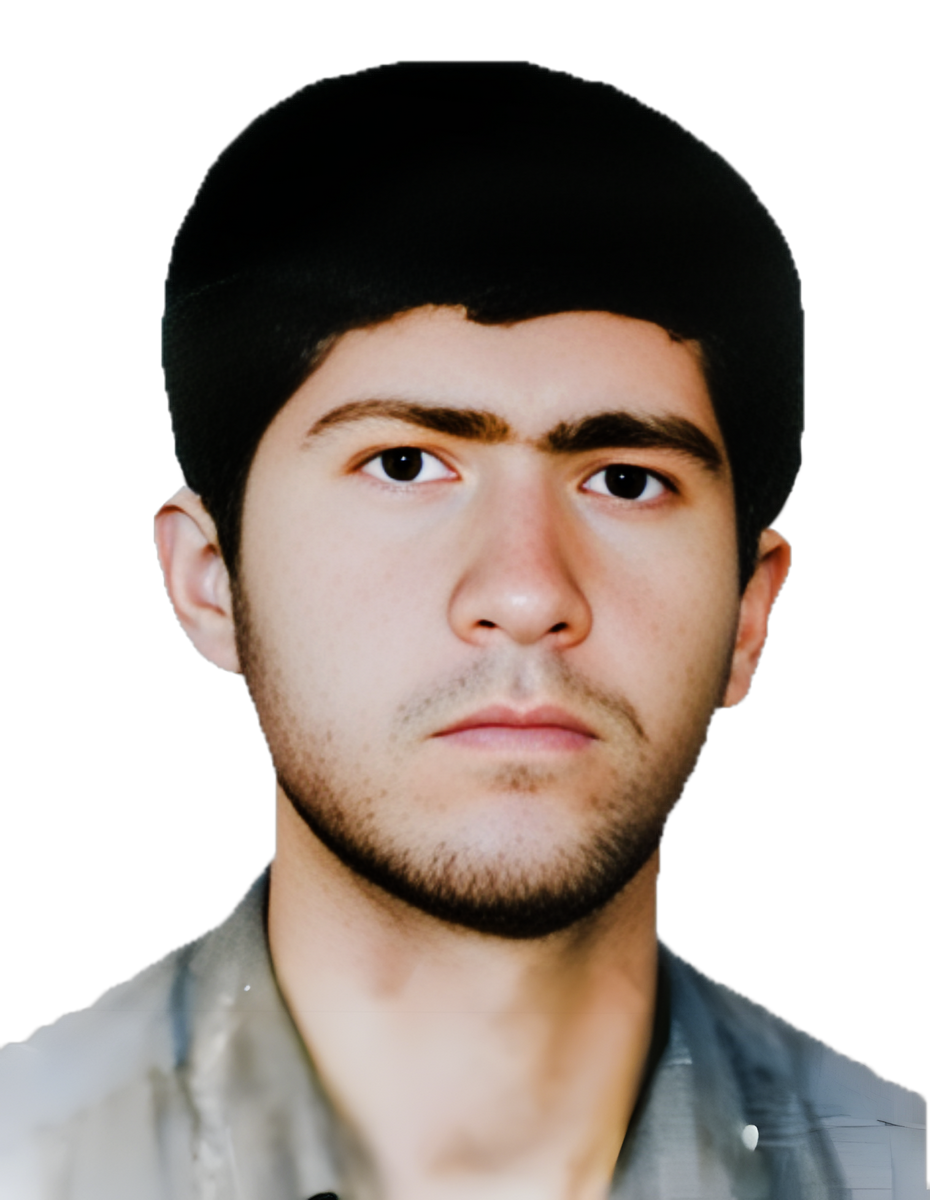 علی ضامن صلاحی (برشنه)