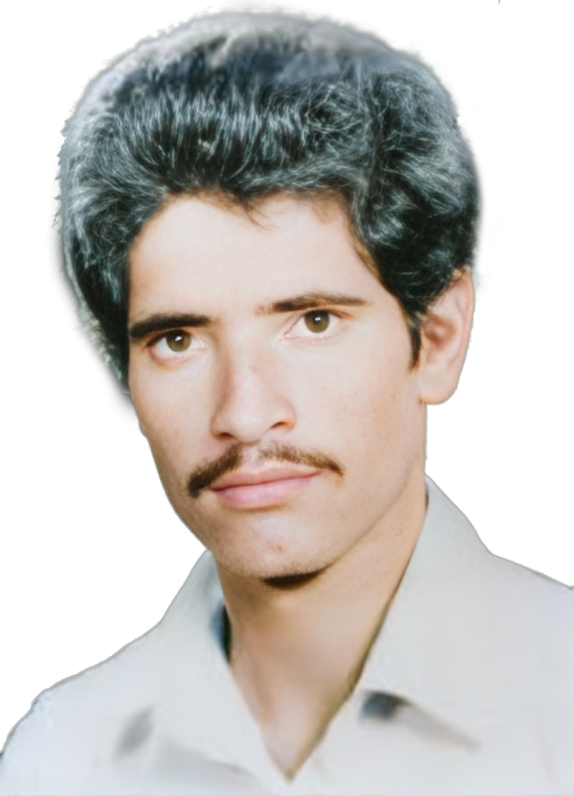 رضا صمیمی میمندی