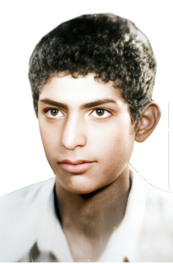 محمدرضا طبائی