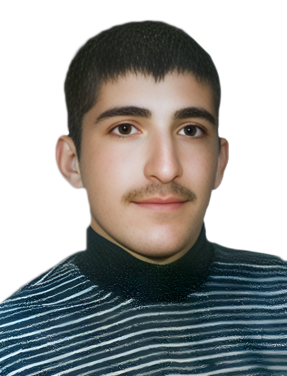 محمود عابری