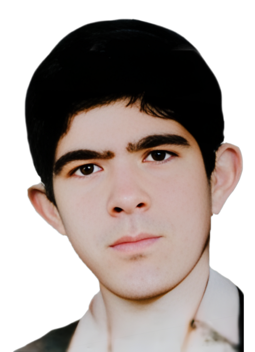 محمدحسین عبادی نژاد