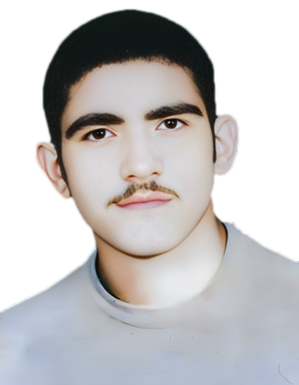 مصطفی عباسی