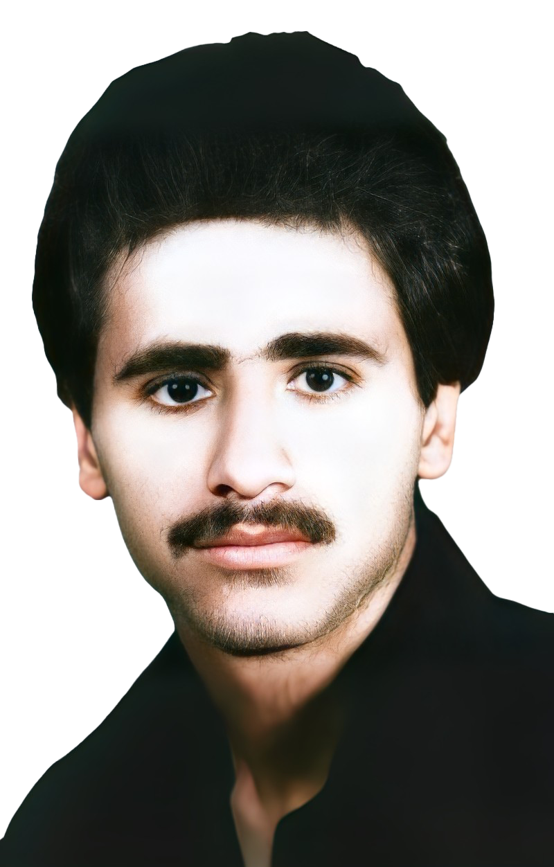 نادر عباسی