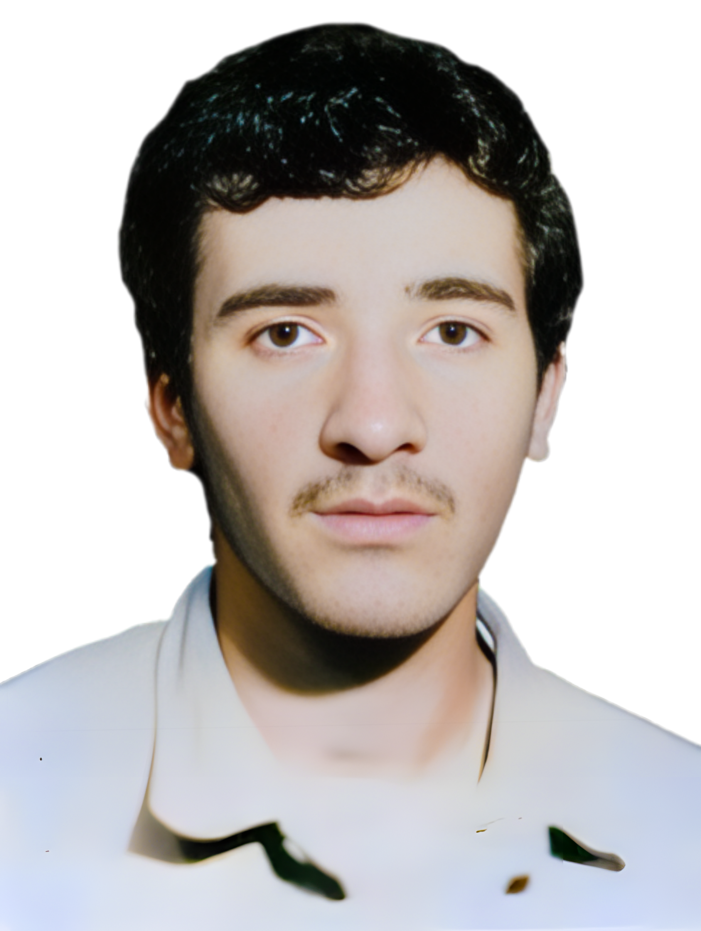 روح اله عباسی دولت آبادی