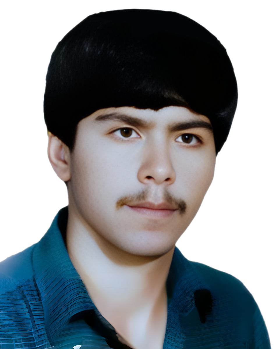 محمدحسین عبداله زاده