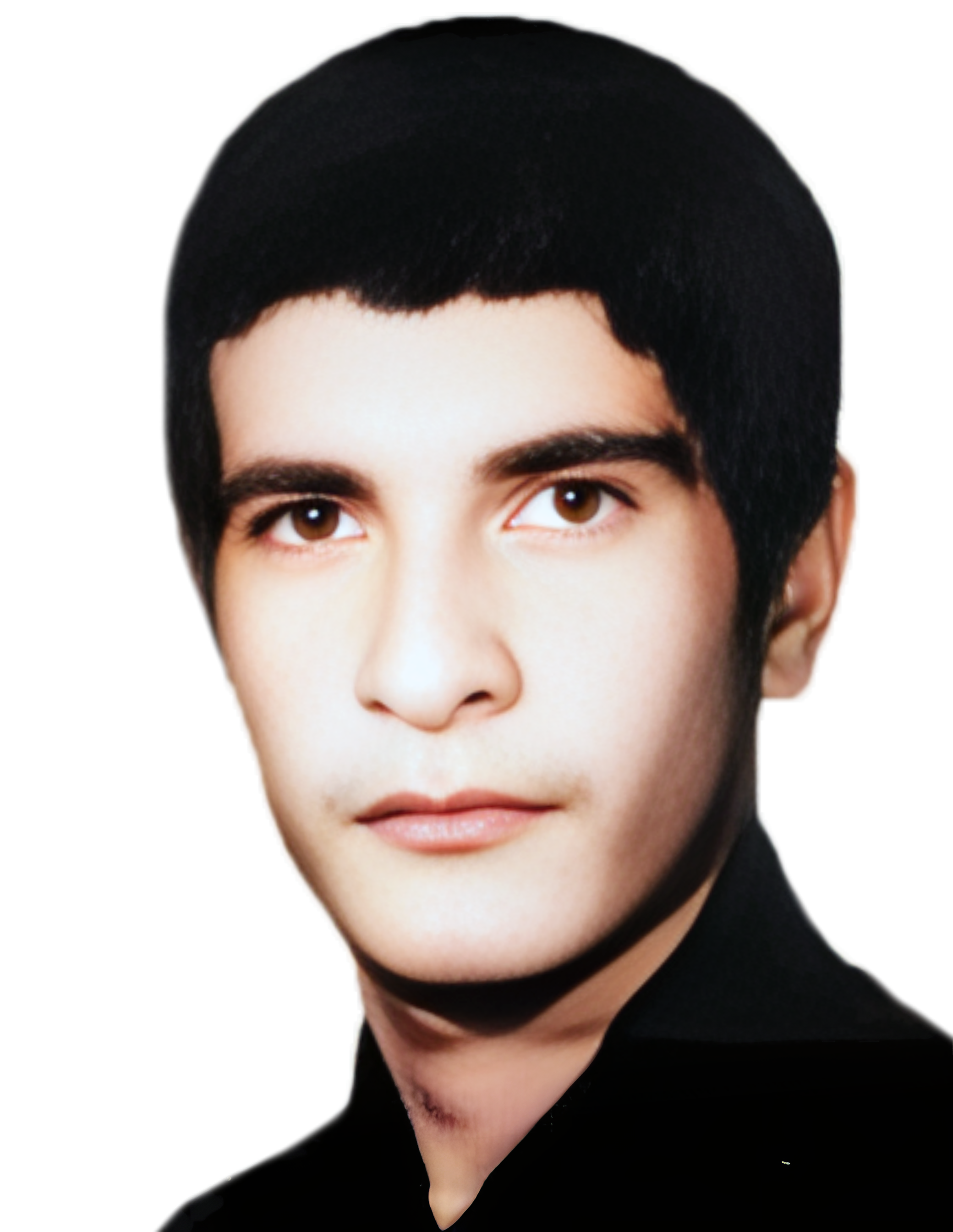 حسن عرب شیبانی