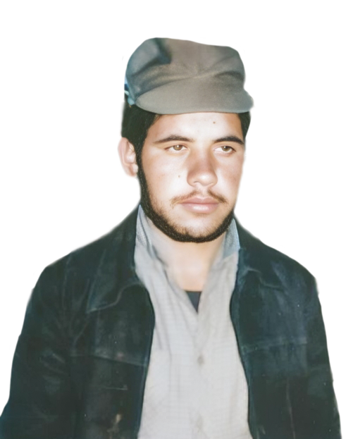 محمود عرب شیبانی
