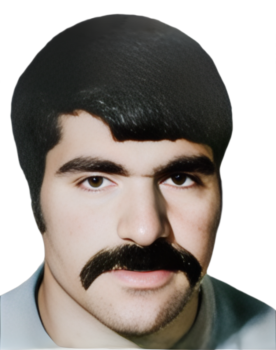 محمدرضا عسکری