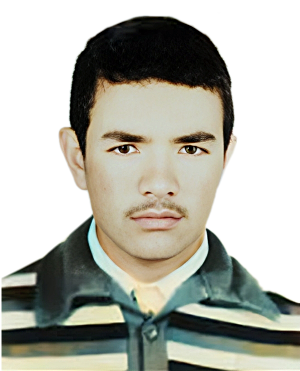 محمد علیائی