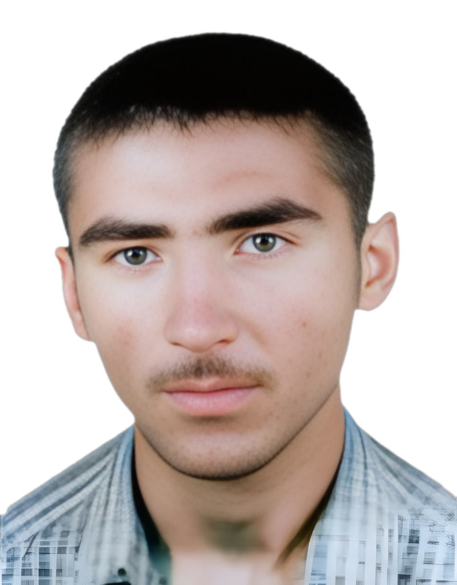 منصور علی پور