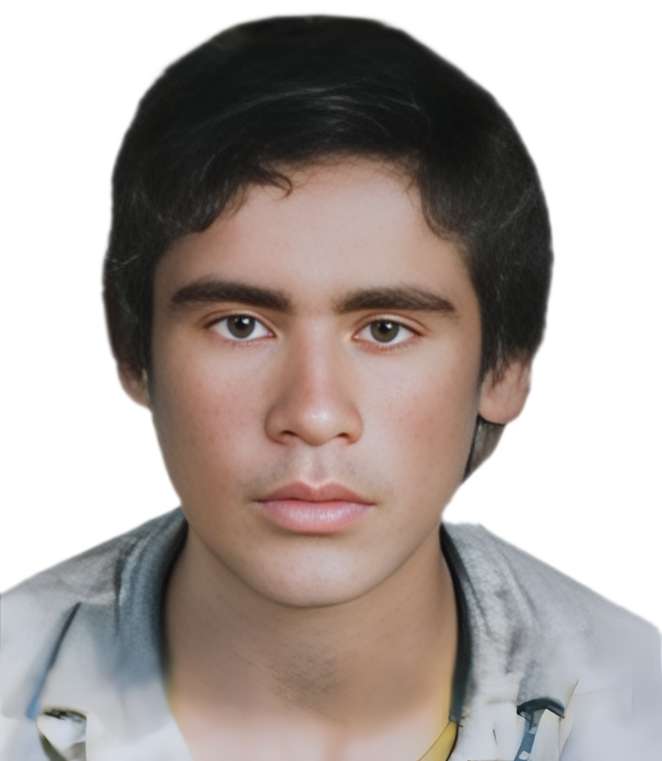 محمود علی زاده