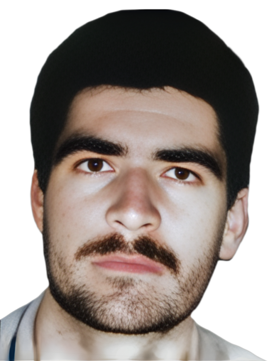 محمدعلی علی کاوی