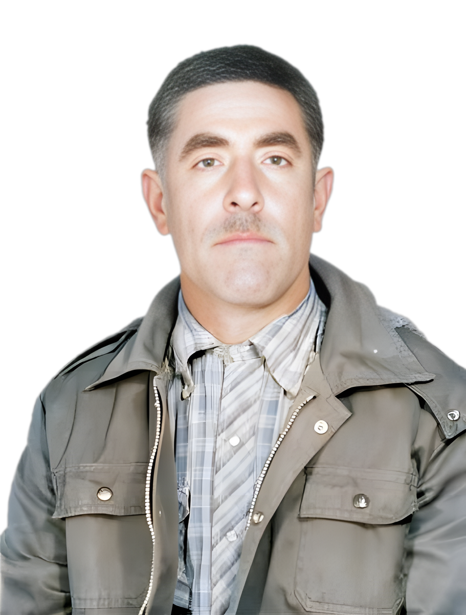 محمد  غلامی حنائی