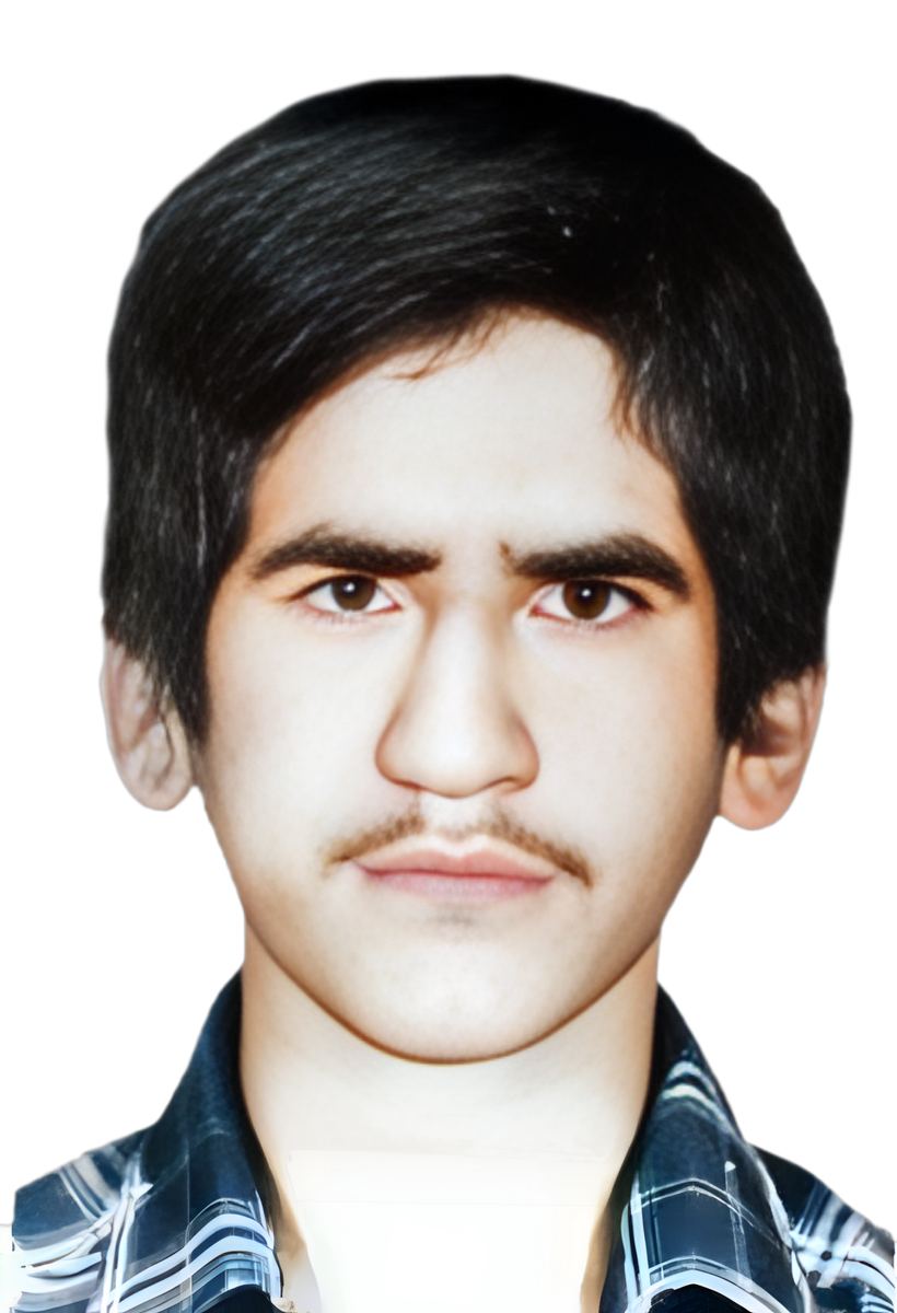 غلامرضا غلامی