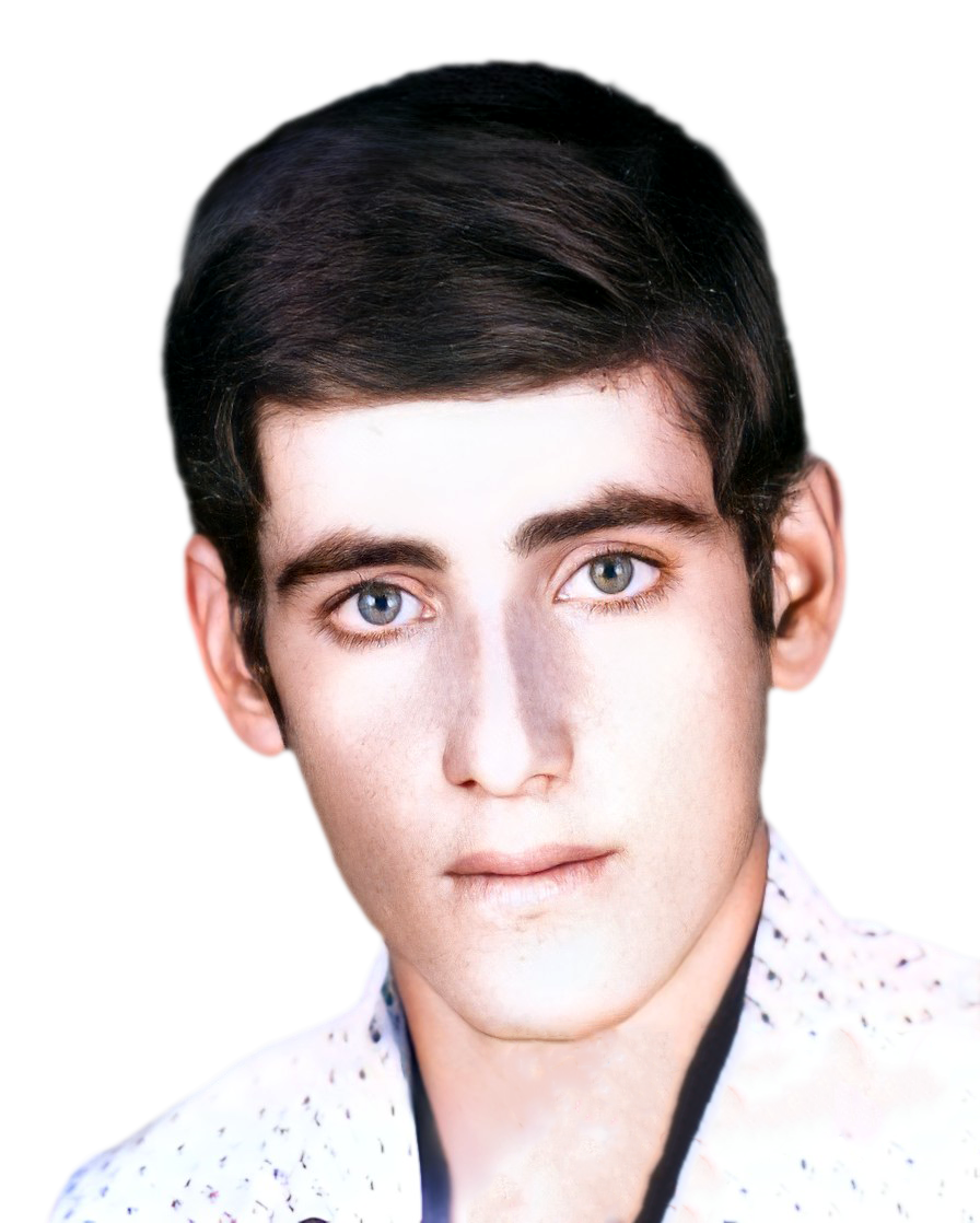 ناصر  غلامی