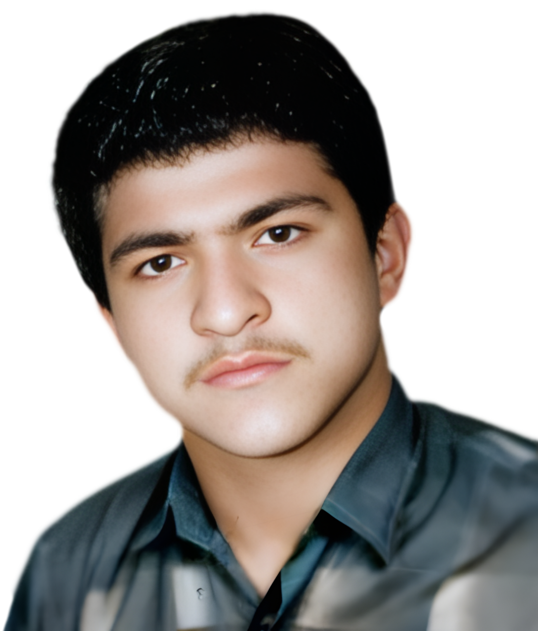 محمود فارسی