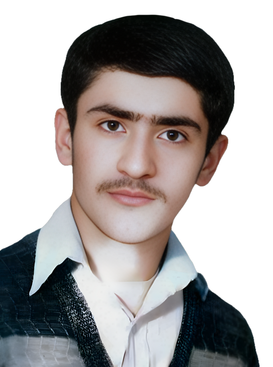 محمدحسین فتحی