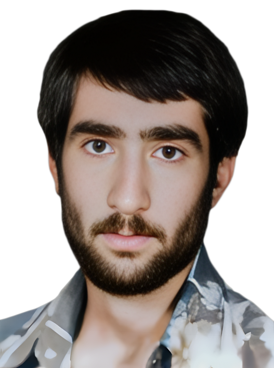 حیدرقلی فتحی