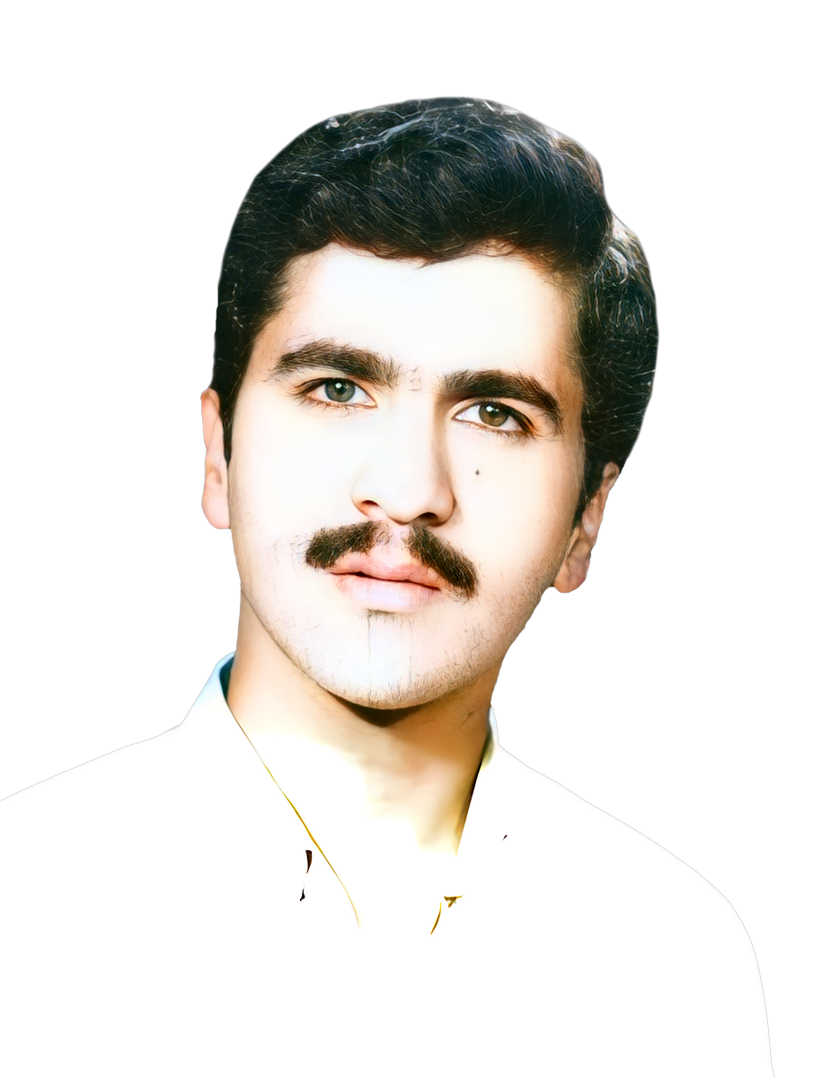 محمد رضا فرزانه
