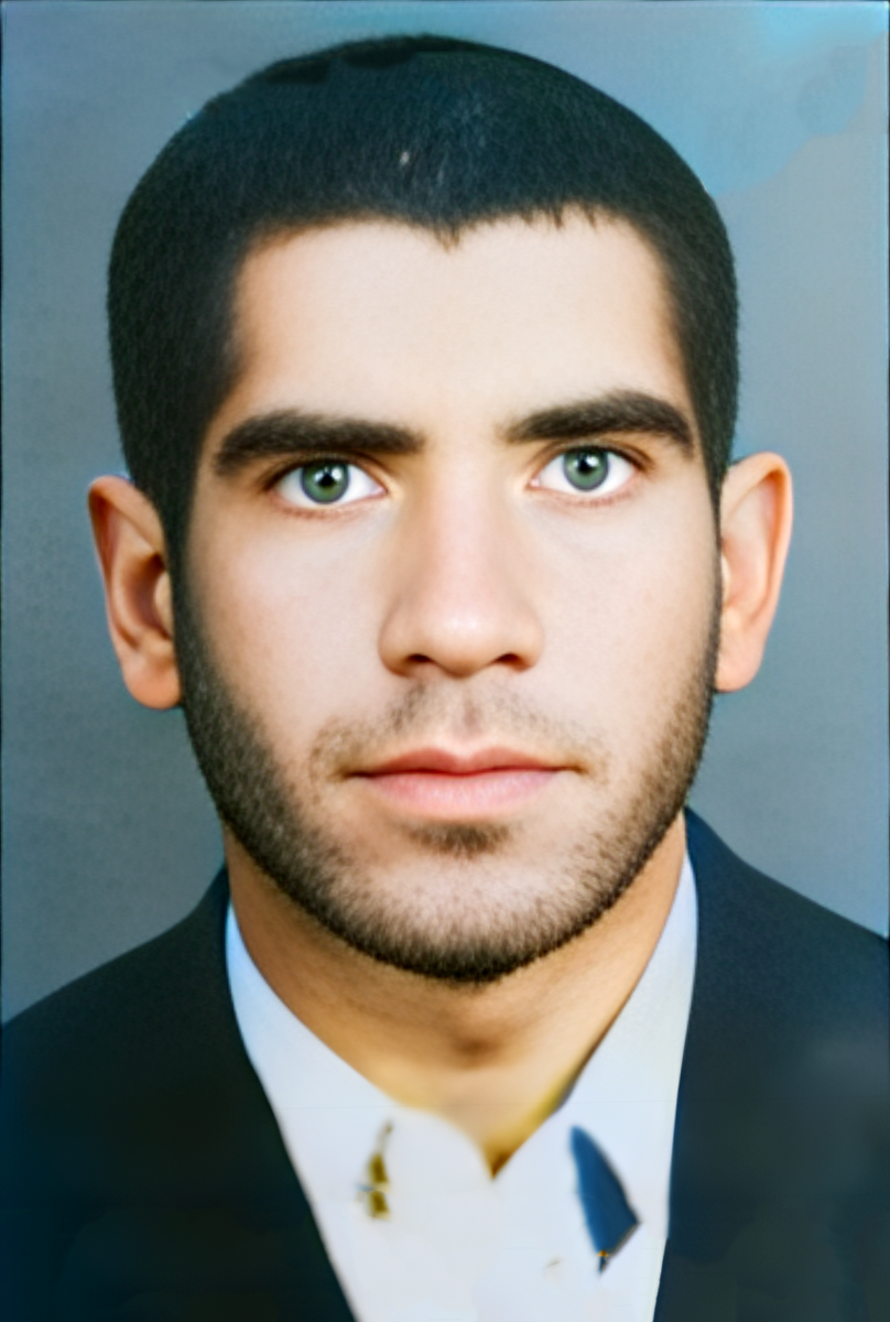 حسن فرمانی