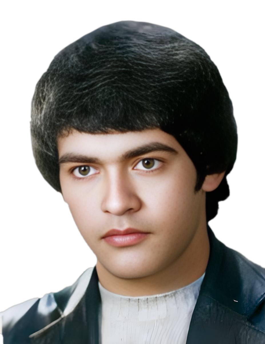 تیمور ابوالحسنی فروغی