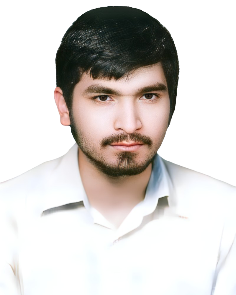 احمد فهیمی