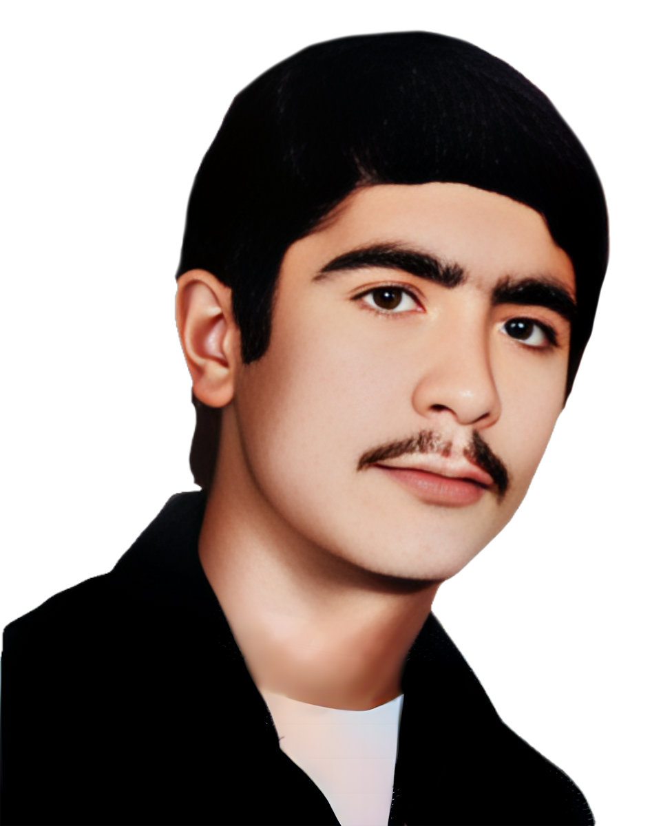 محمود فیروزی