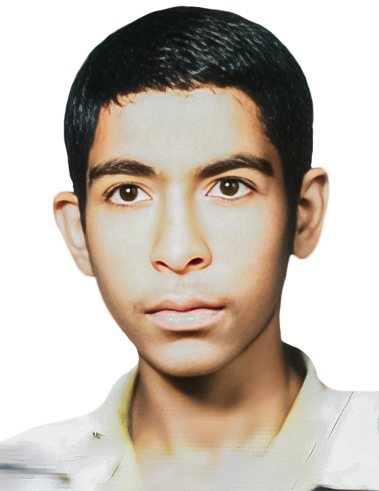 حسین قائدی قالینی