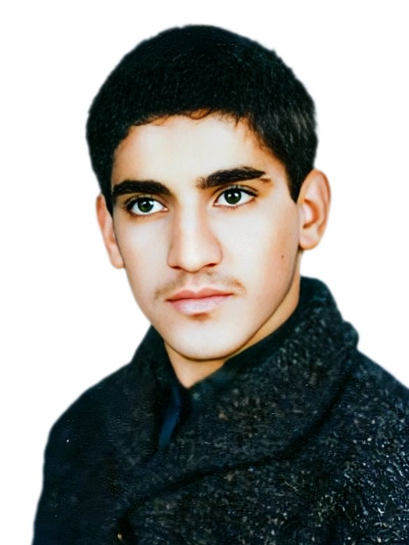 امیرحسین قراجه