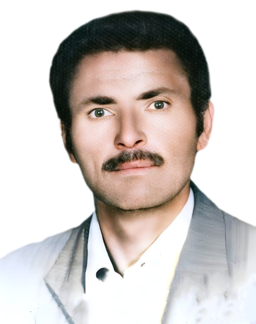 علی قره قانی