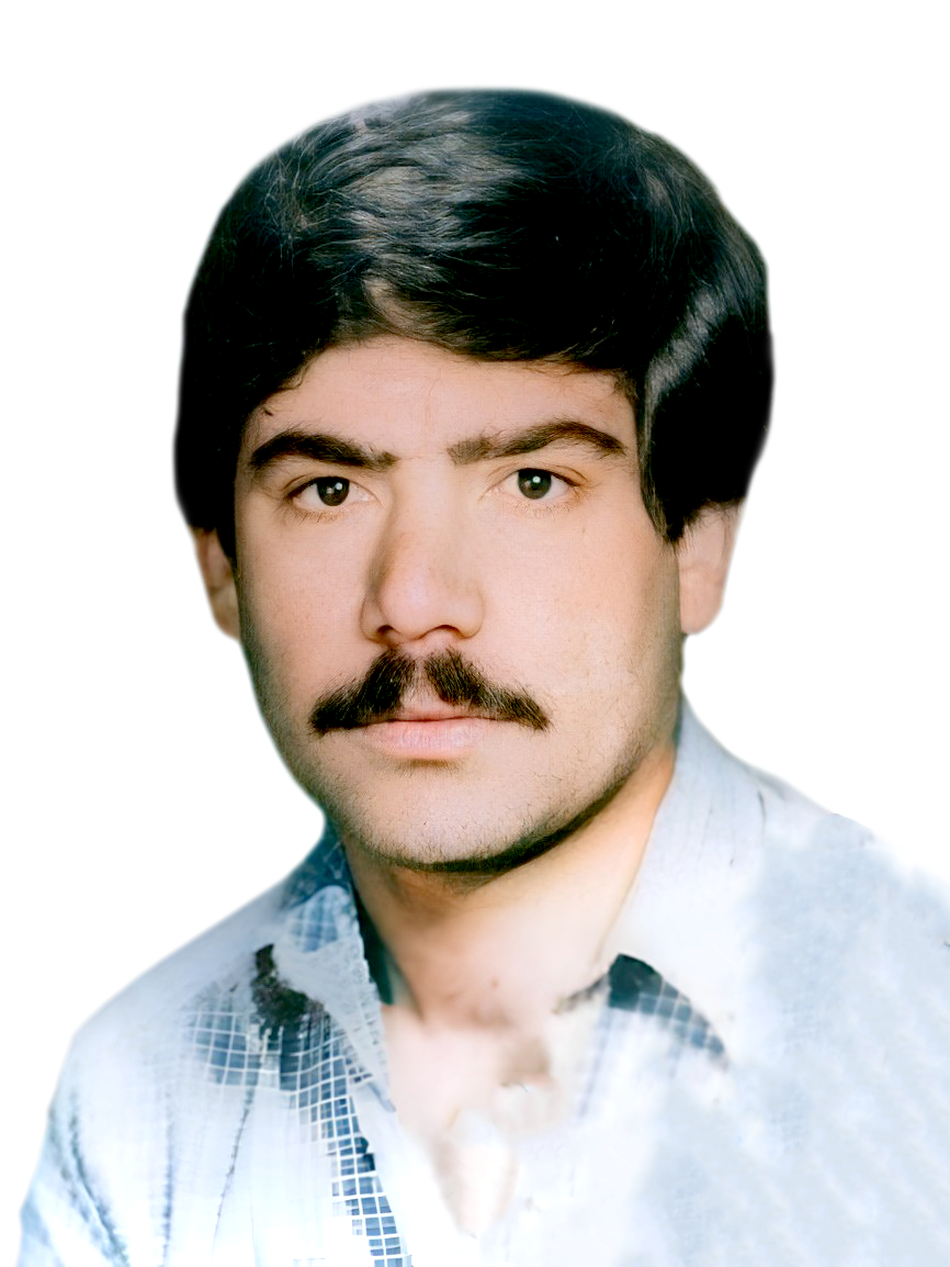 محمد رضا قلی پورمیجی