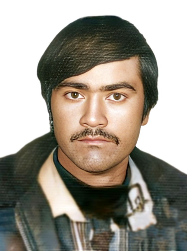 محمداسماعیل کارآمد