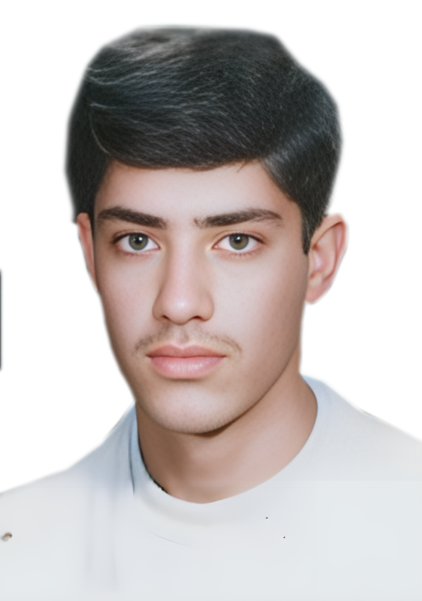 محمدرضا کاوه