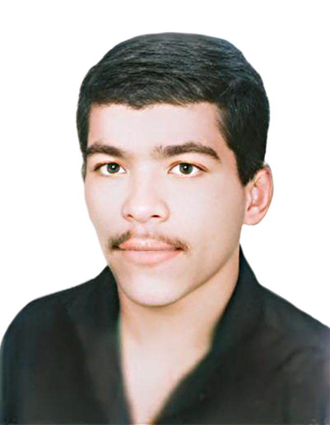 مهرداد کرمی