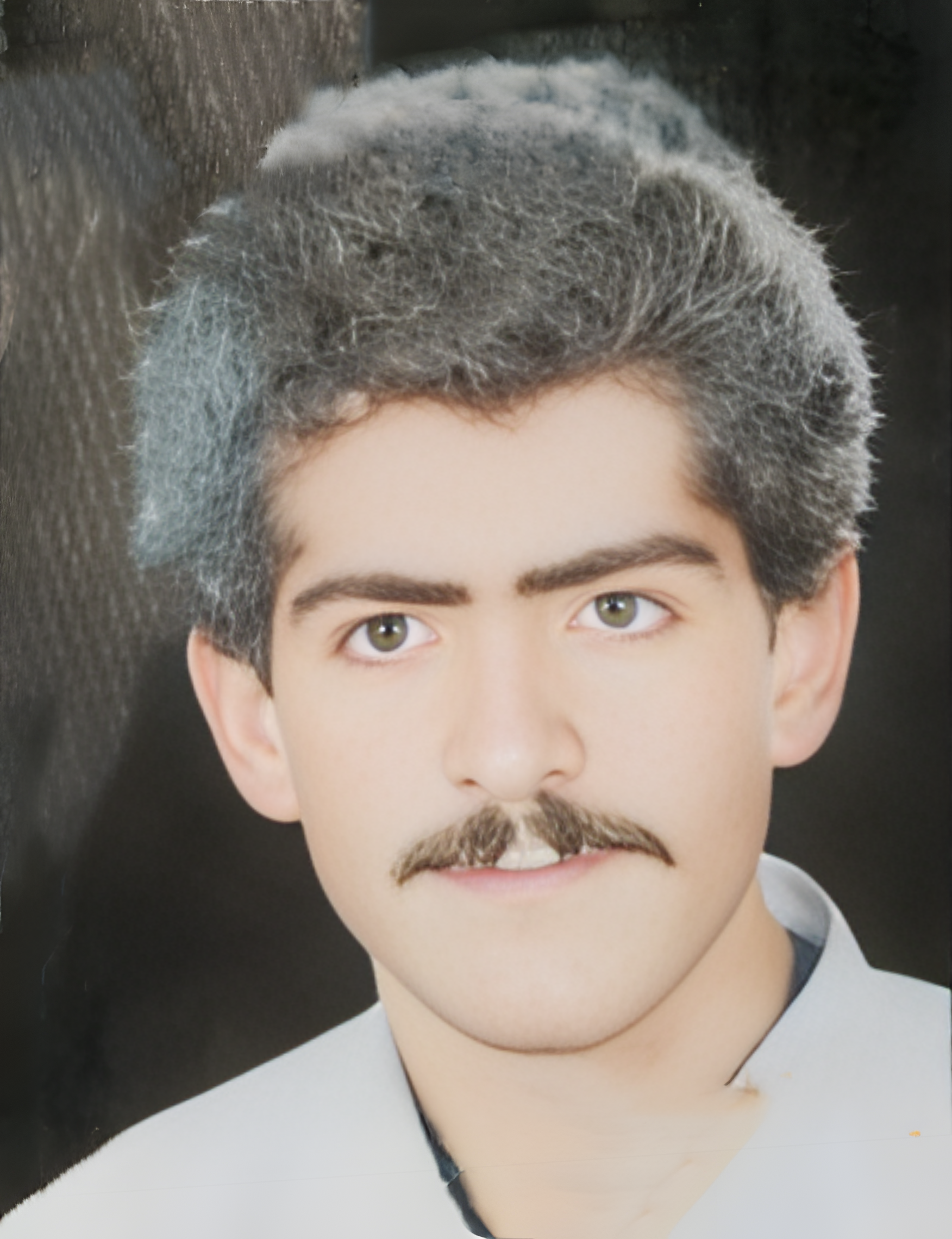 سياوش کروني