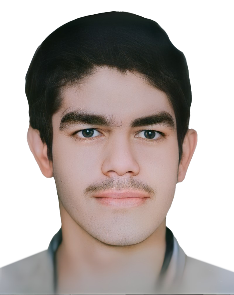 سید عبدالرسول کشفی