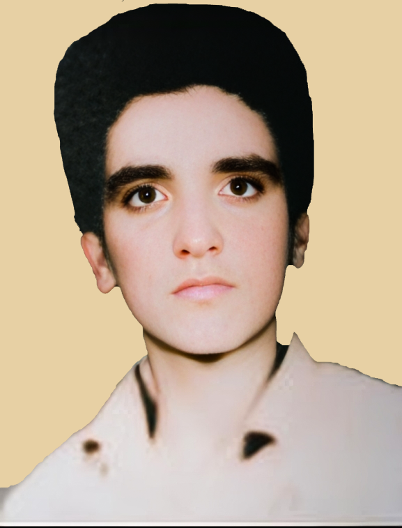 همت کمالی دشتکی