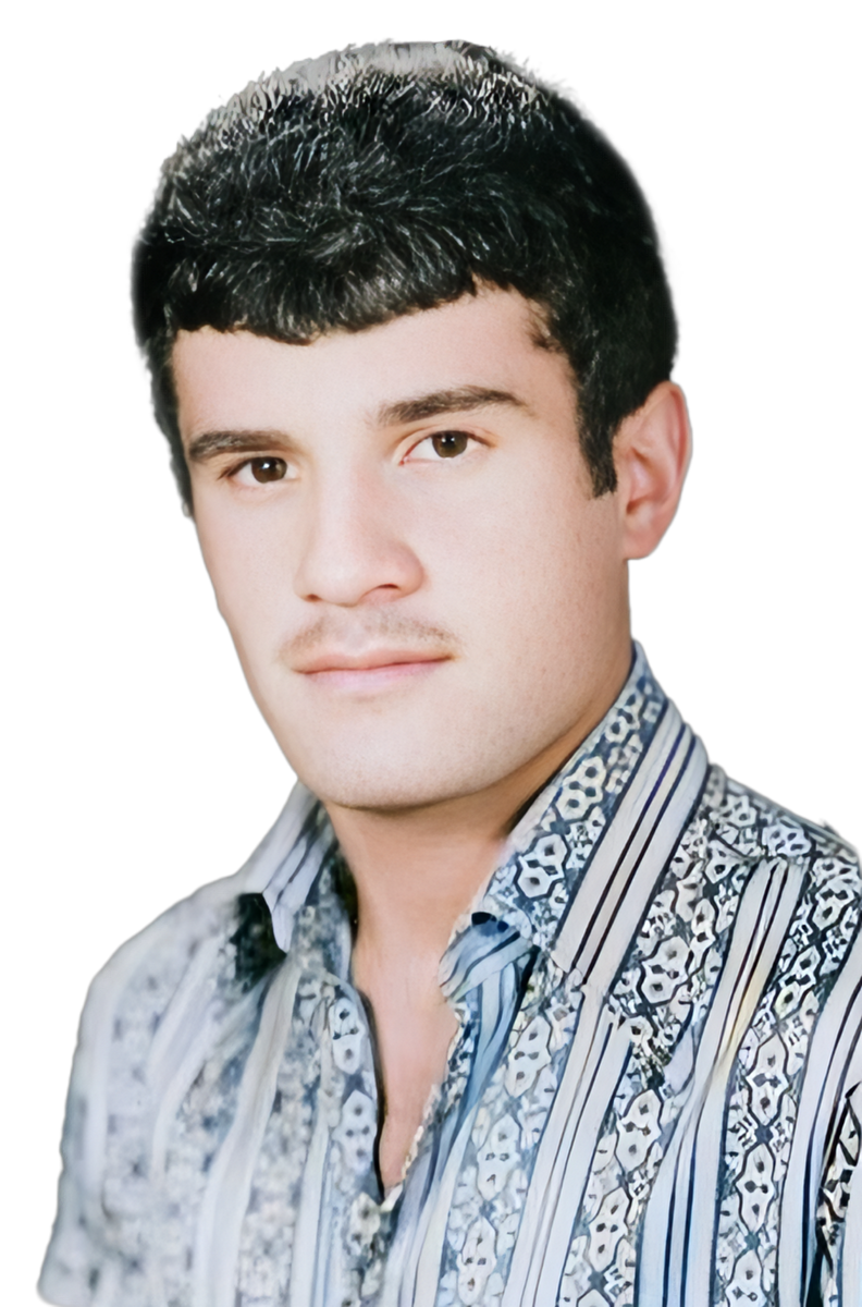 هوشنگ کوهی باغ اناری