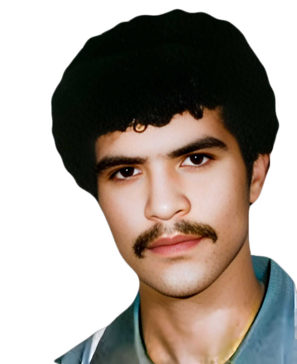 جمشید گاوکانی